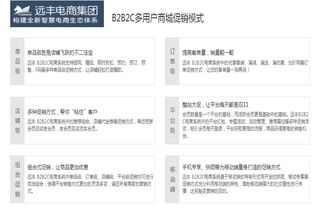 上海b2b2c多用户商城系统定制开发公司哪家强