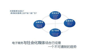 自助贸易网大数据